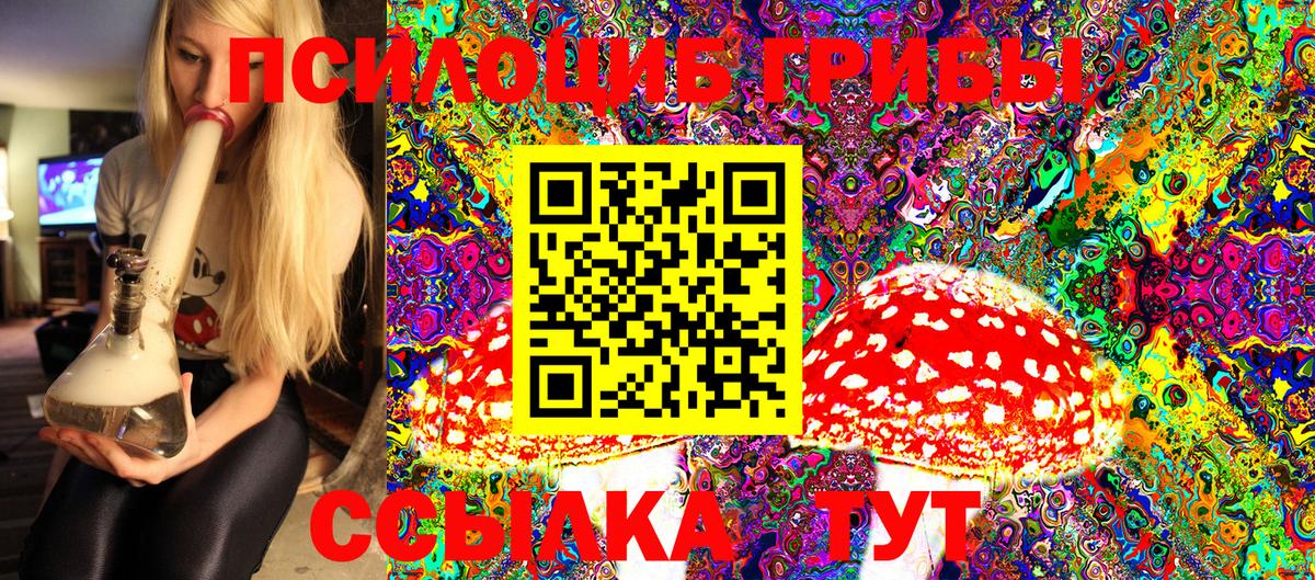 Улан-Удэ  как найти закладки  Псилоцибиновые грибы Psilocybe  Вход с VPN  Псилоцибиновые грибы MAGIC MUSHROOMS 
