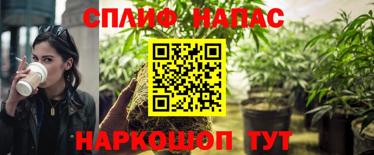 Шишки марихуана план  Вход с VPN  Шишки марихуана SATIVA & INDICA  Конопля SATIVA & INDICA  Улан-Удэ 
